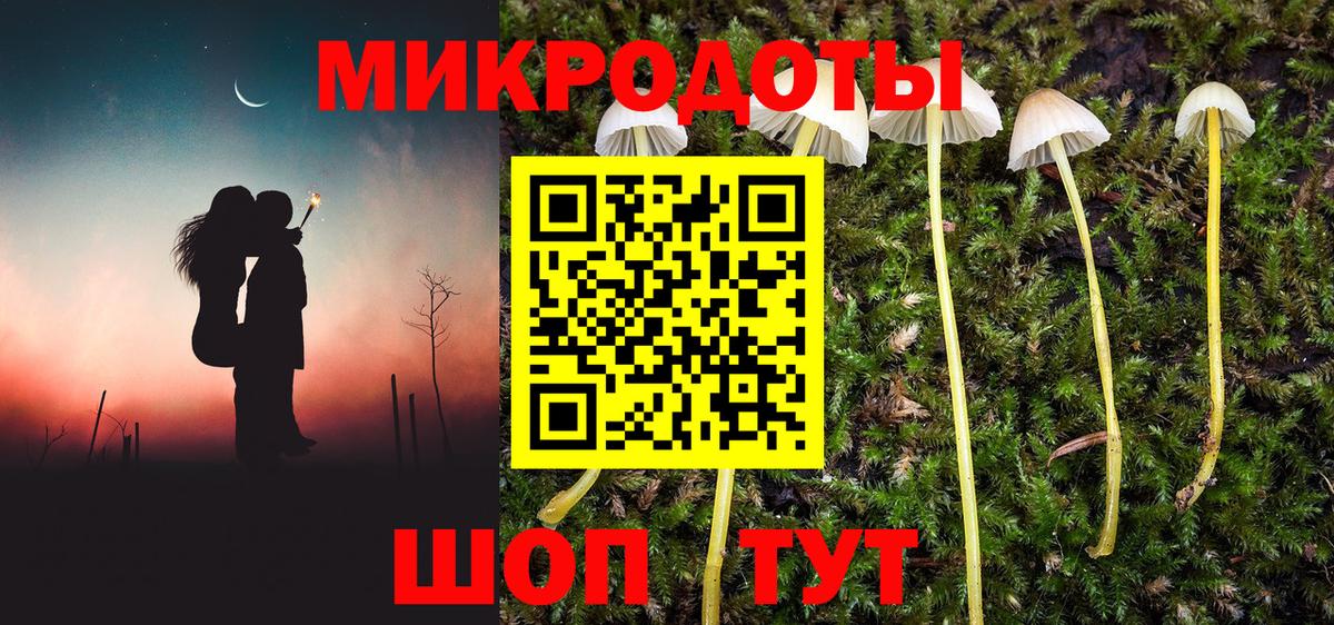 Псилоцибиновые грибы MAGIC MUSHROOMS  Галлюциногенные грибы мухоморы  Гусев  Вход с VPN 