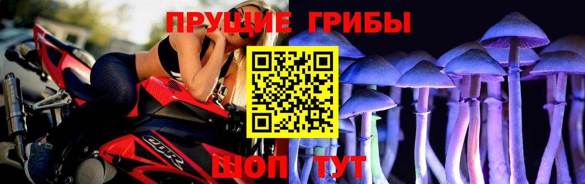 Псилоцибиновые грибы ЛСД Гусев