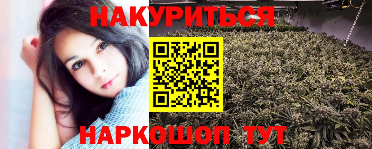 Конопля планчик  Вход с VPN  Конопля MAZAR  Шишки марихуана семена  Конопля ГИДРОПОН  Гусев 